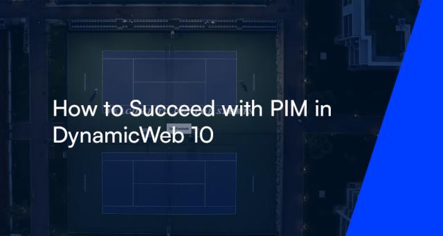 How to Succeed with PIM in DynamicWeb 10